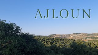 Taking a tour around Ajloun forest reserve