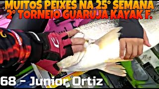 Robalo, Traíra, Tucunaré, Corvina, Garoupa 25° Semana do 2° Torneio GKF,  Galhardo Fish