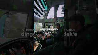 story wa bus #storywabusmania #busmania #storybusmania #buspariwisata #bismaniacommunity