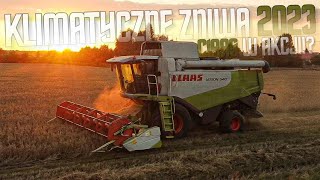 🔥ŻNIWA MIESZANKI PRZY ZACHODZIE SŁOŃCA🔥LEXION NA KOGUTACH🔥GR KAŹMIERCZAK & GR PELIŃSKI🔥