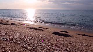 Relaje su cuerpo y alma con las olas del Mediterráneo en la Barceloneta sonido original y en directo