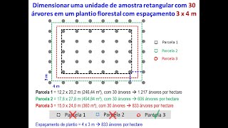 Dimensionamento de unidades de amostra retangulares em plantios com espaçamento definido