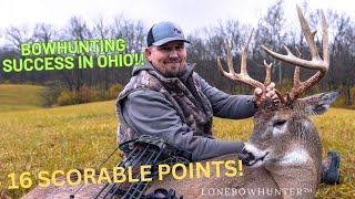 big buck down in Ohio!!  ( bowhunting the rut  )