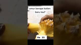 Kamu sudah tahu belum?