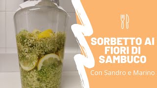 Sorbetto gelato ai fiori di sambuco naturale e artigianale