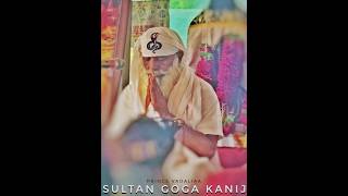 SULTAN GOGA KANIJ | MAHI GOGA DHAM KANIJ | PRINCE VADALIAA  | STATUS |