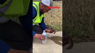 Thirsty Squirrel and the good man