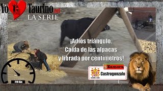 2° CASTROGONZALO 🔺¡Adiós triángulo, Caída de las alpacas y librada por centímetros❗  ▶