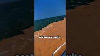 Porque o oceano atlântico e pacífico não se misturam?