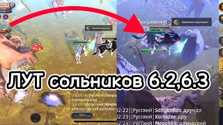 ФИКСИРУЮ ЛУТ 6.2 , 6.3 СОЛЬНИКА Albion online