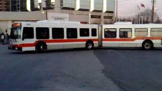 Assorted Mississauga Transit busses