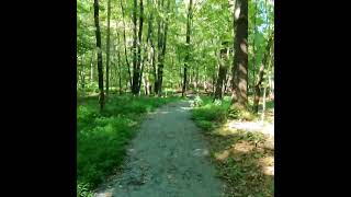 I had a lovely day on Peebles Island State Park’s trail. #NewYork #StateParks #Upstate