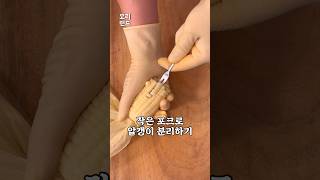 삶은옥수수 먹다 남았을 때