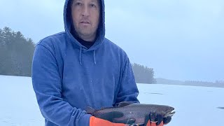 Early season ice fishing 18 inch brook trout