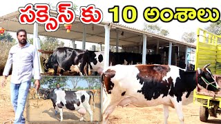 ఆవును కట్టించడం ముఖ్యం cow breeds for milk @MalleshAdla