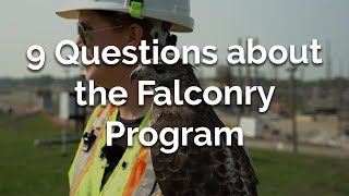 9 Questions about the Falconry Program