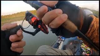 Muita traíra na Represa bilings, #fishing #pesque #billings #pescador #fish