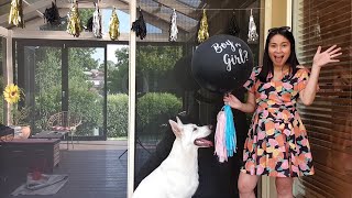 Gender Reveal: Boy or Girl?