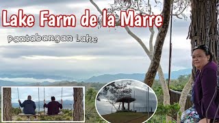 Chubby travels to Lake Farm Dela Marre, Pantabangan, Nueva Ecija