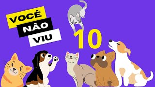 Pets - 10 MIMOS na Shopee