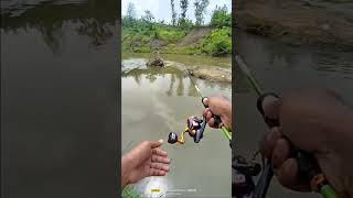 casting hampala arus deras menggunakan minnow replika..., #shorts #shortvideo ,#feedshorts