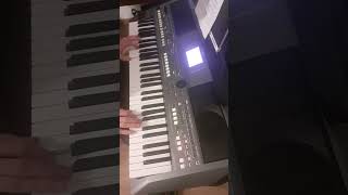 happy new year cover Leo Rojas by yamaha psr670 #sylwester 2022