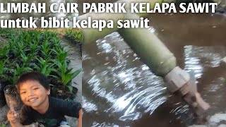 limbah cair pabrik kelapa sawit