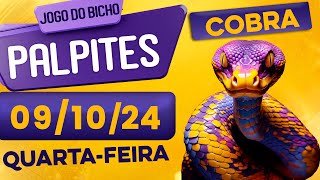 PALPITE DO DIA 09/10/2024 - JOGO DO BICHO 🍀 TODAS AS LOTERIAS 🍀