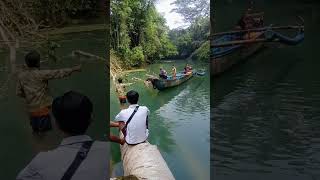 EVAKUASI KAYU KERAMAT YANG TUMBANG