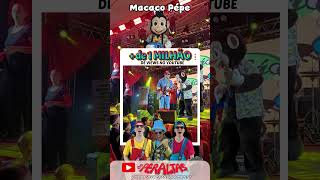 Macaco Pépe +de 1 milhão de views  #diversão #osperaltas #shorts #macacopépe #showinfantil