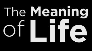 The Meaning of Life