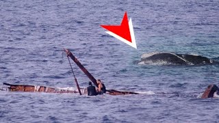 ESPECTACULAR. BALLENAS FRANCAS EN NAUFRAGIO FOLIAS. SubSur