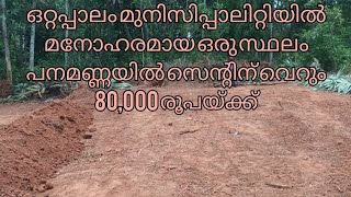 ഒറ്റപ്പാലം മുനിസിപ്പാലിറ്റിയിൽ പെട്ട സ്ഥലം പനമണ്ണ വിൽപ്പനയ്ക്ക് .pls call me 🙏 🙏 🙏 9744669915.