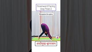 Downward Doggy Pose 2 for Full Body Stretch #shorts #yoga