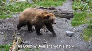 grumpy Bear and the mysterious tale of the turkey teacher