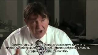 Можно ли ввести "Нэчурал Бэланс" от Орифлэйм в рацион подростка?