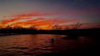 Swimmies at sunset