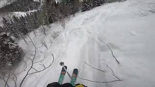 Skiing Tight Trees and Soft Snow