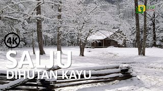 Salju dI Hutan Kayu .4K