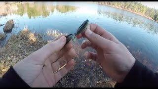 Finesse Fishing For Cold Water Bass