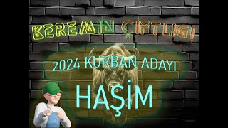 Keremin Çiftliği 2024 Kurbanlık Büyükbaş Haşim - SATILDI