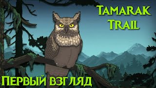 Tamarak Trail первый взгляд. Там, на неведомых дорожках...