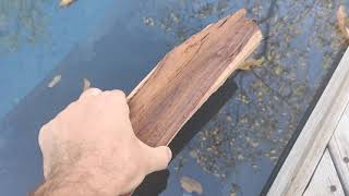 Wood so heavy it can't float