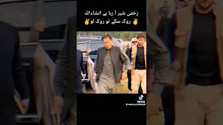 Imran Khan zakhmi sher