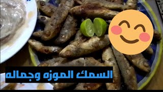 السمك المقلي احلي من السردين،😍احلي تتبيله اعتمدتها في وصفات الأسماك 😘