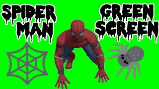 Green screen |🕷 Spider | Footage | Video background | Download | No copyright free use