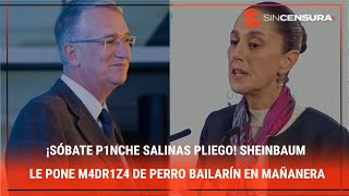 ¡SÓBATE P1NCHΕ SALINAS PLIEGO! #Sheinbaum le pone m4dr1z4 de perro bailarín en #Mañanera