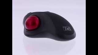 Mouse con trackball Ergo T'nB