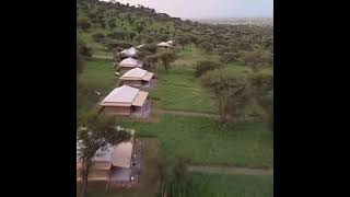 Serengeti camping site.book a trip with us today.www.happyugandasafaris.com