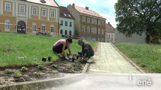 Dokončení projektu Louka v proluce - Jaroslav Parma